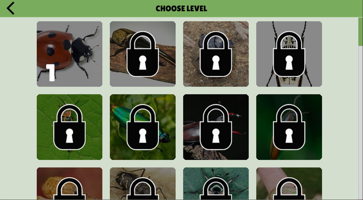 Colorful Beetles Game Choose Levels Screenshot.